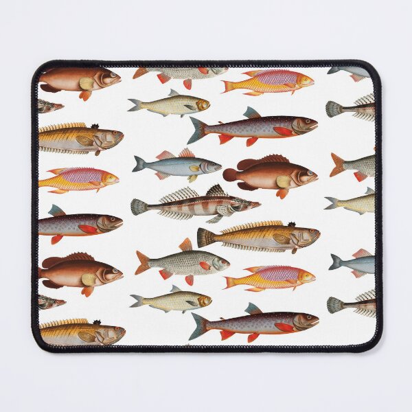 Item preview, Colorful Fish Illustration v3 designed and sold by SowCow.