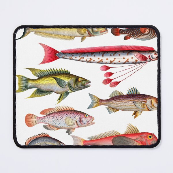 Item preview, Colorful Fish Illustration designed and sold by SowCow.