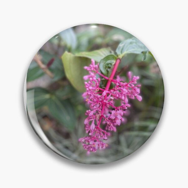 Item preview, PURPLE in the Wild designed and sold by iAmmAja43.