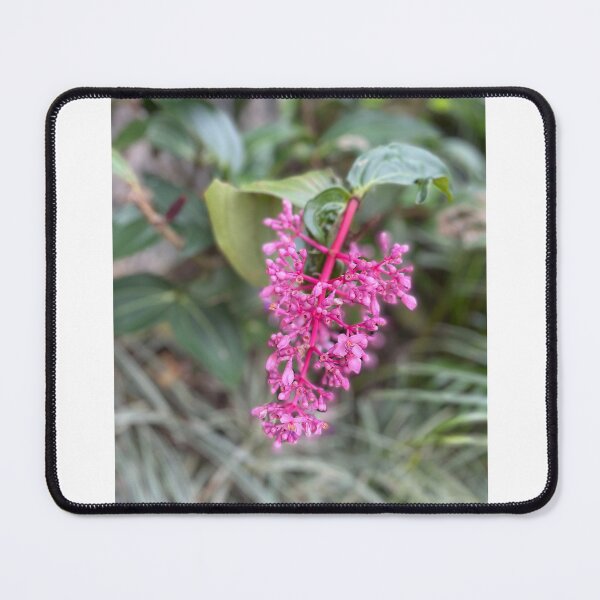 Item preview, PURPLE in the Wild designed and sold by iAmmAja43.