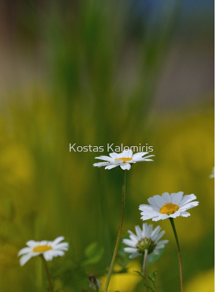 Thumbnail 5 of 5, iPhone Case, Spring designed and sold by KostasKalomiris.