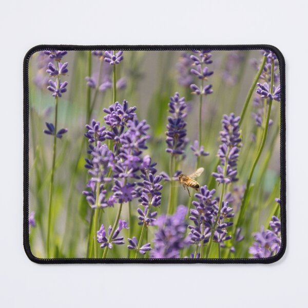 Item preview, Lavender Flowers With Honey Bee designed and sold by love-longisland.
