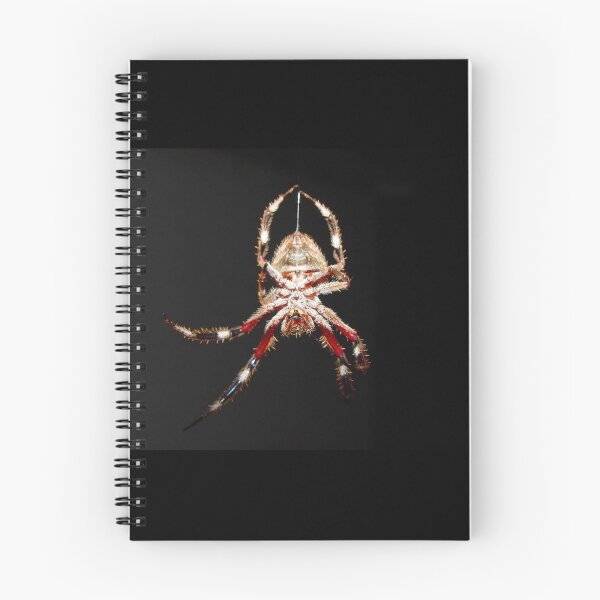 Item preview, Hanging Spider, Spinning designed and sold by KauriMountain.