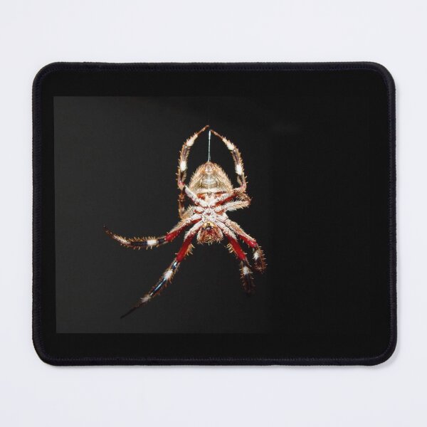 Item preview, Hanging Spider, Spinning designed and sold by KauriMountain.