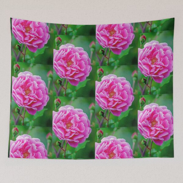 Item preview, Frills of Pink designed and sold by imaginethis.