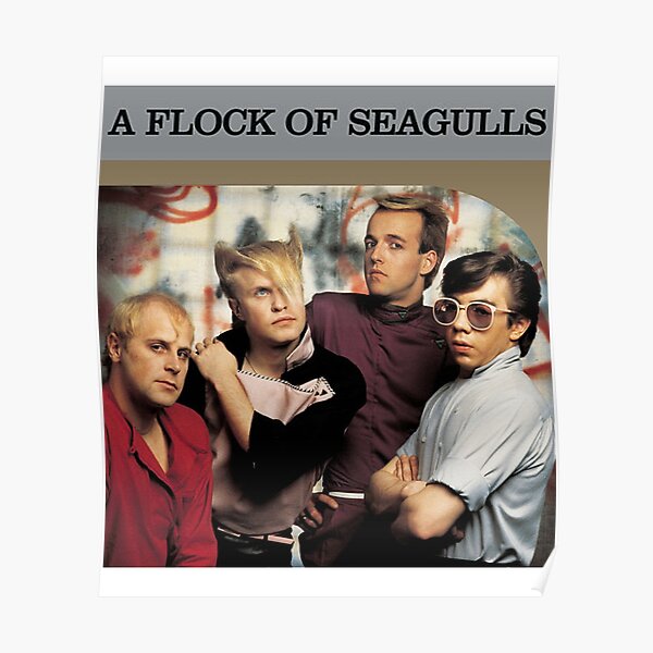 a flock of seagulls Poster
