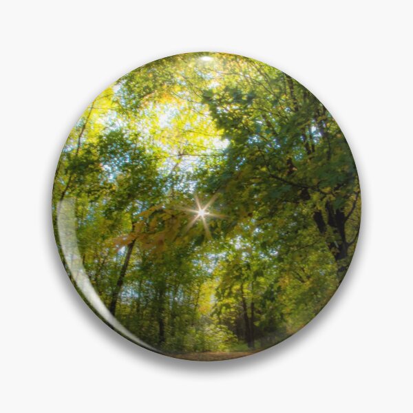 Artikelvorschau, Folge dem Herbststern entworfen und verkauft von passion4photos.