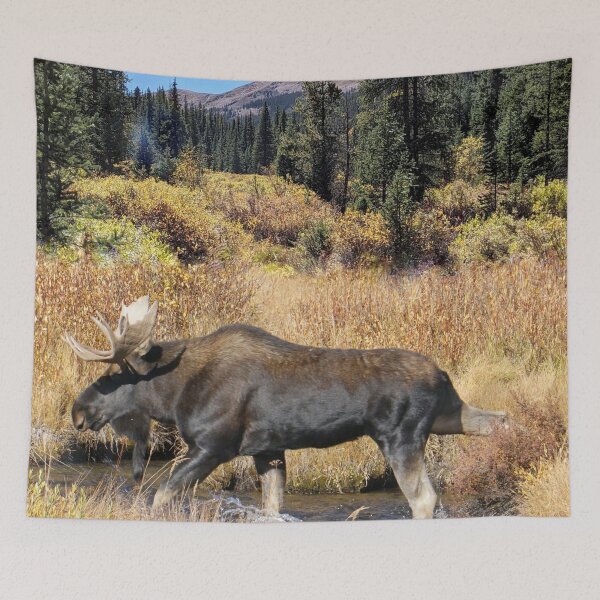 Item preview, Moose designed and sold by Betsy Seeton.