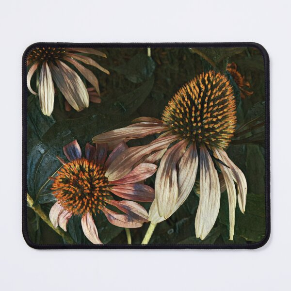 Item preview, Cone Flower designed and sold by NearScapes.