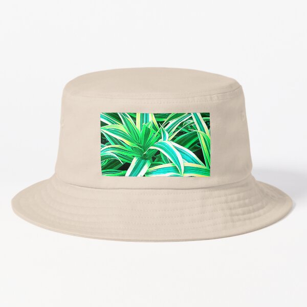 Item preview, Lush, Luxurious Green Striped Spider Plant Leaves designed and sold by DEC02.
