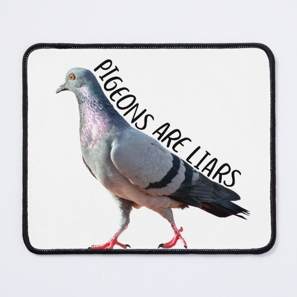 Item preview, Pigeons Are Liars - Birds Are Not Real Sticker designed and sold by SugarrMonkey.
