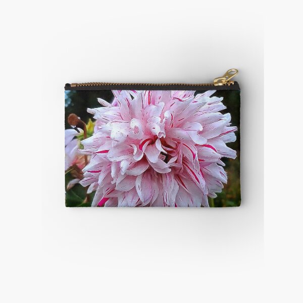 Item preview, Red and White Candy Cane Striped Dahlia designed and sold by SeaChangeDesign.