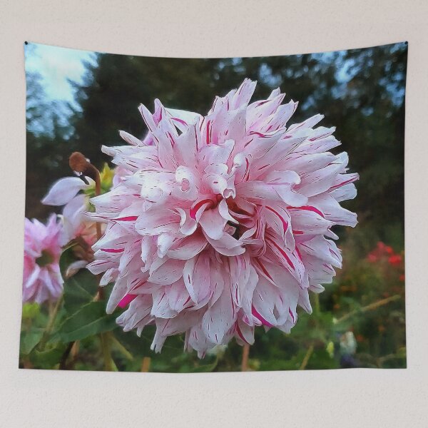 Item preview, Red and White Candy Cane Striped Dahlia designed and sold by SeaChangeDesign.