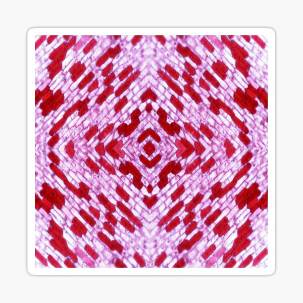 Petals-Hibiscus Sticker