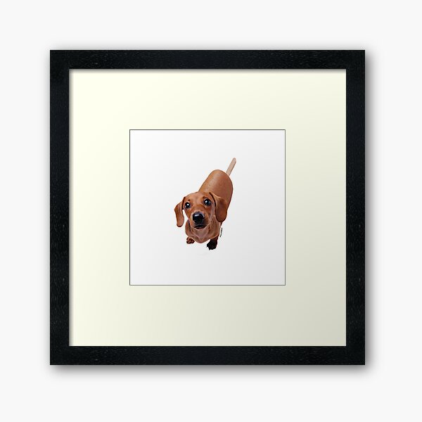Cornhot by Alice Monber Framed Art Print