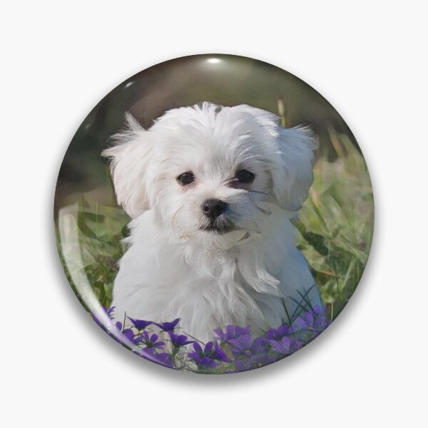 Item preview, Maltese Puppy In Purple Flowers designed and sold by Heathermarie321.
