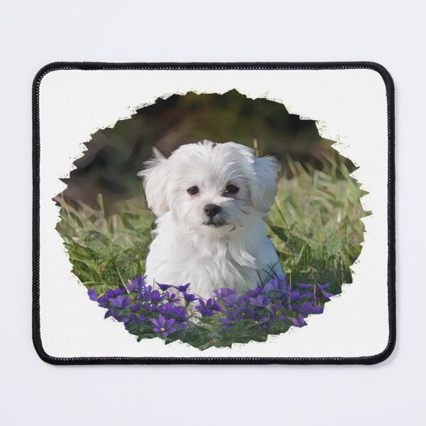 Item preview, Maltese Puppy In Purple Flowers designed and sold by Heathermarie321.