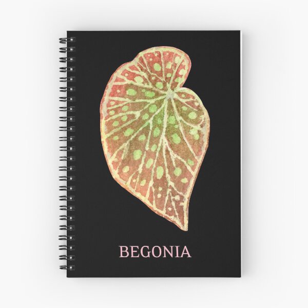 Item preview, Begonia Houseplant Leaf with Name designed and sold by AlohaHound.