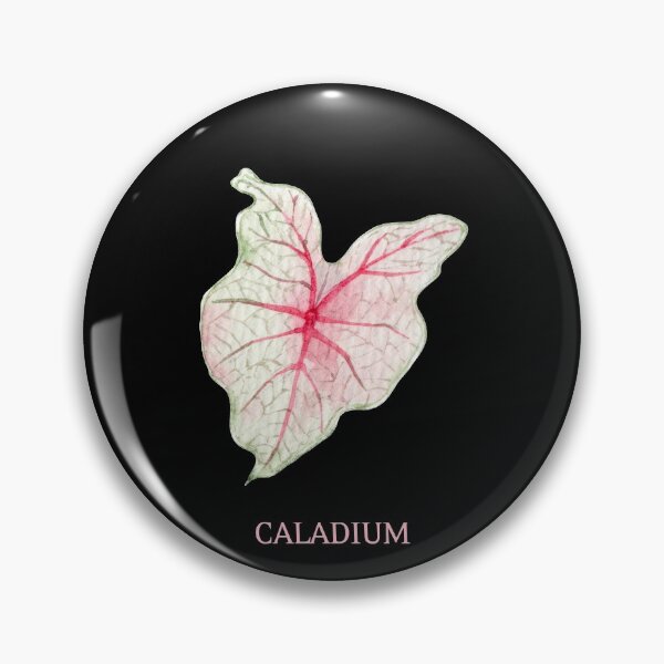 Item preview, Caladium Houseplant Leaf with Name designed and sold by AlohaHound.