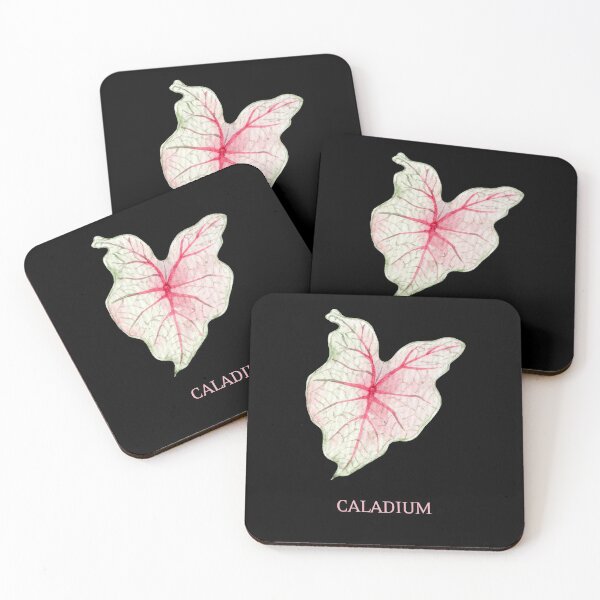 Item preview, Caladium Houseplant Leaf with Name designed and sold by AlohaHound.