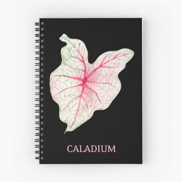 Item preview, Caladium Houseplant Leaf with Name designed and sold by AlohaHound.