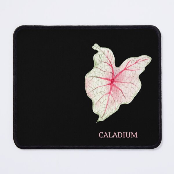 Item preview, Caladium Houseplant Leaf with Name designed and sold by AlohaHound.