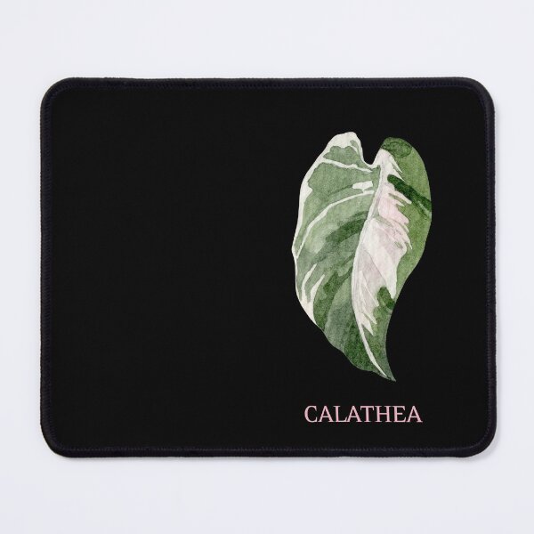 Aperçu de l'œuvre Feuille de plante d'intérieur Calathea avec nom créée et vendue par AlohaHound.