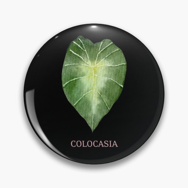 Item preview, Colocasia Houseplant Leaf with Name designed and sold by AlohaHound.