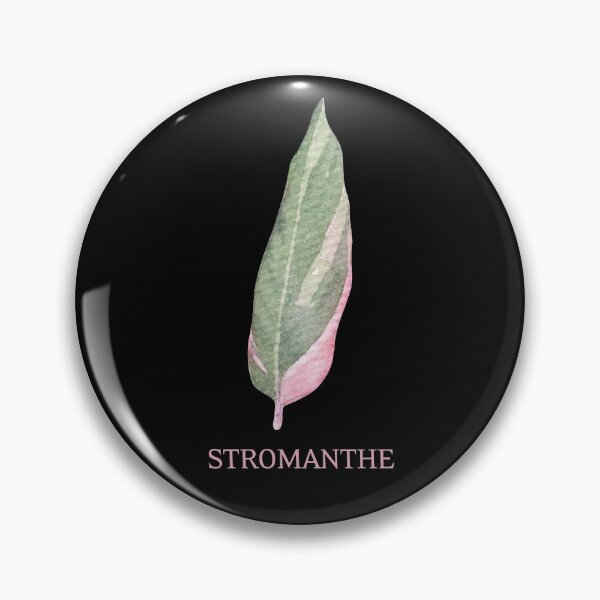 Item preview, Stromanthe Houseplant Leaf with Name designed and sold by AlohaHound.