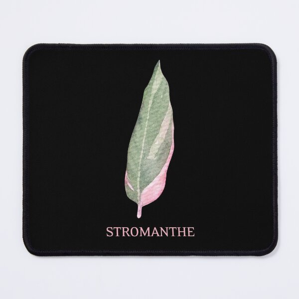 Item preview, Stromanthe Houseplant Leaf with Name designed and sold by AlohaHound.