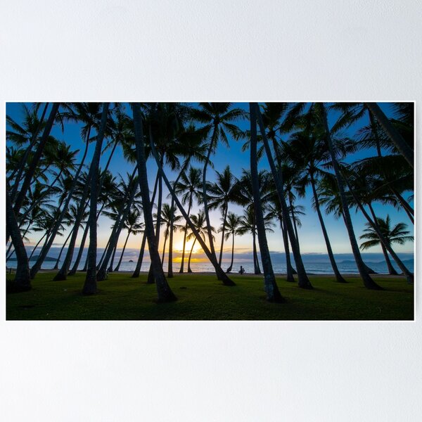 Artikelvorschau, Palm Cove Sonnenaufgang entworfen und verkauft von PeterOliver787.