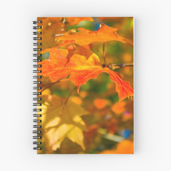 Item preview, Fall is here designed and sold by Maia Howell.