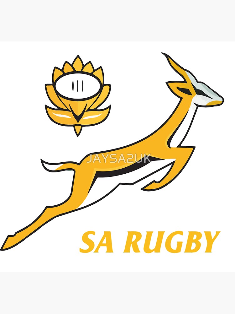 Springbok Rugby supporter gear Pet Bandana for Sale by Xhamela