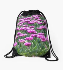 Draconian story through image. Drawstring Bag
