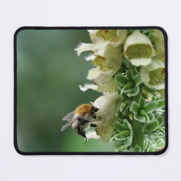 Item preview, Delicious Digitalis designed and sold by cuprum.