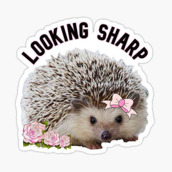 Hedgies Stickers for Sale