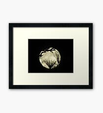 moony Framed Print