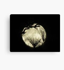 moony Canvas Print