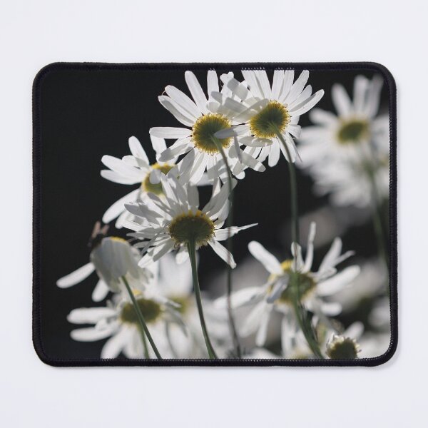 Item preview, Daisy Butts designed and sold by cuprum.