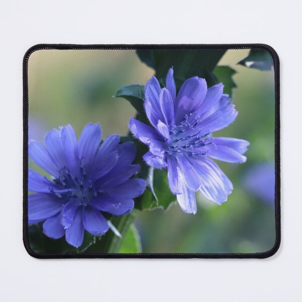 Item preview, Endive Beauty designed and sold by cuprum.