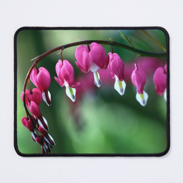 Item preview, Meant to be mended designed and sold by cuprum.
