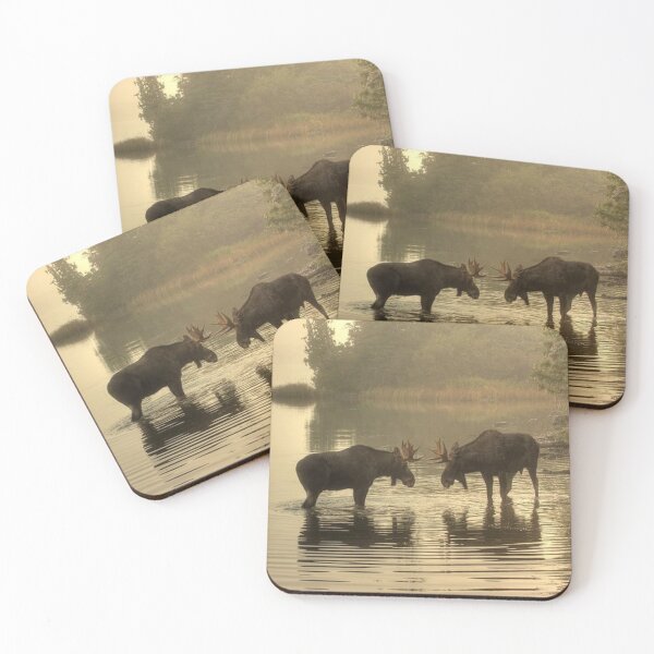 Item preview, Two Bull Moose  designed and sold by Maddie4Real.