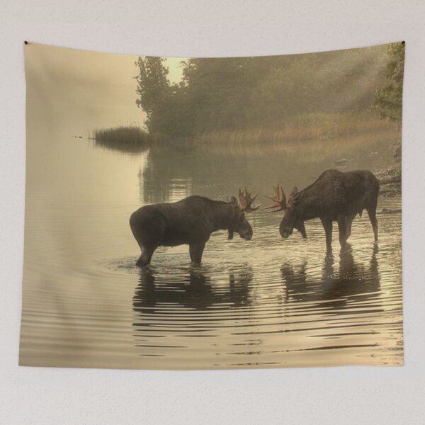 Item preview, Two Bull Moose  designed and sold by Maddie4Real.