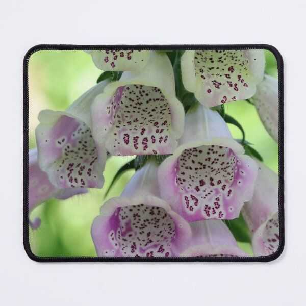 Item preview, Foxglove Beauty designed and sold by cuprum.