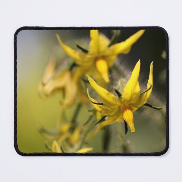 Item preview, The Promise designed and sold by cuprum.