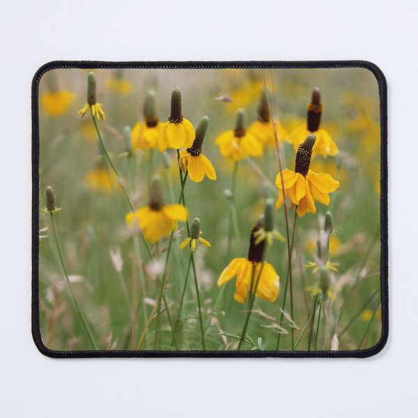 Item preview, Prarie Coneflower designed and sold by cuprum.