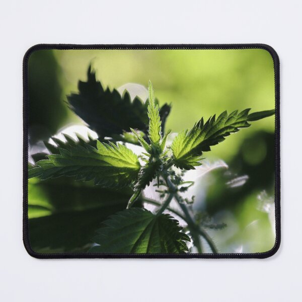 Item preview, Nettle designed and sold by cuprum.