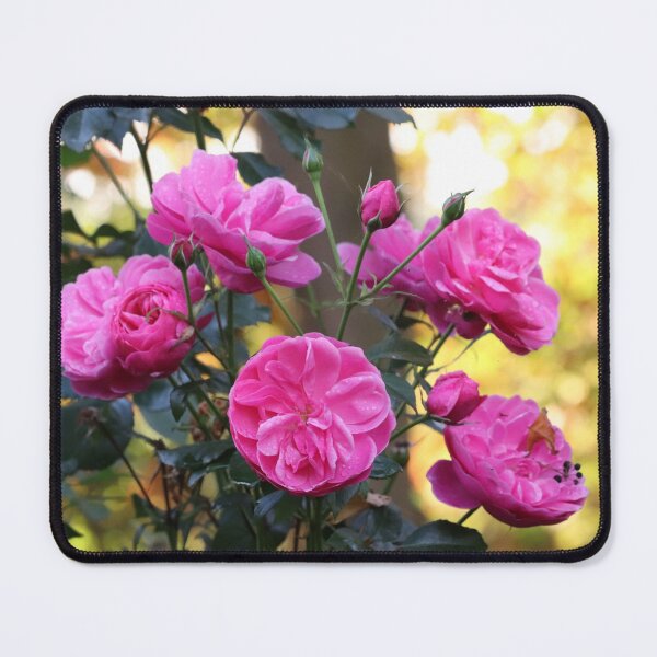 Item preview, Roses in Autumn designed and sold by cuprum.