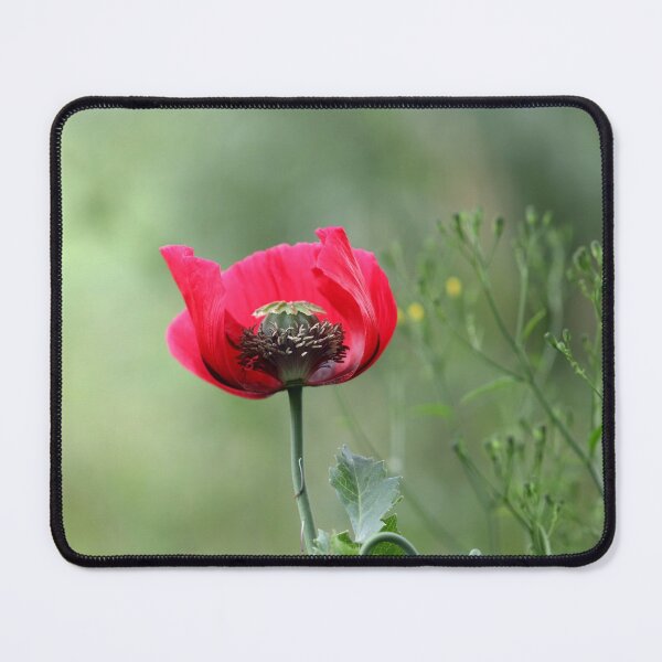 Item preview, The Beauty Inside designed and sold by cuprum.