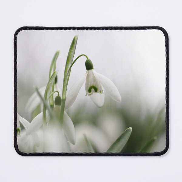 Item preview, We're Back! designed and sold by cuprum.